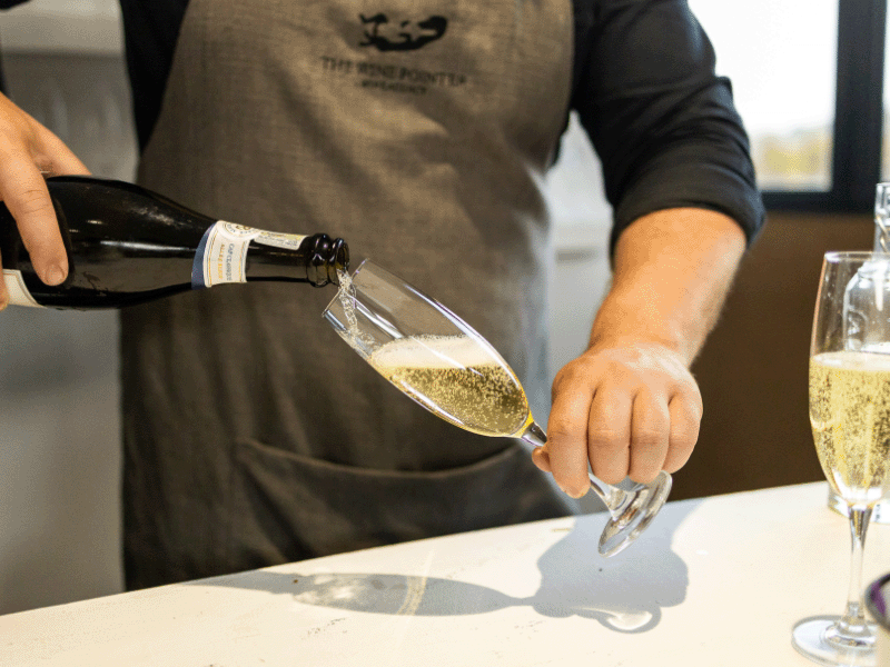 Curated wine tasting flight